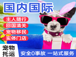 虹桥航空空运国际宠物托运 【国